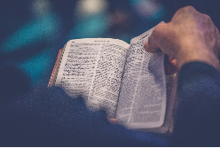 "Person's Hand Holding Book Page," Photo by Rod Long on Unsplash