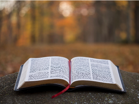 "Bible Page on Gray Concrete Surface" by Aaron Burden on Unsplash